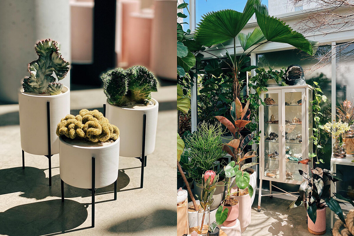 室內採光充足。