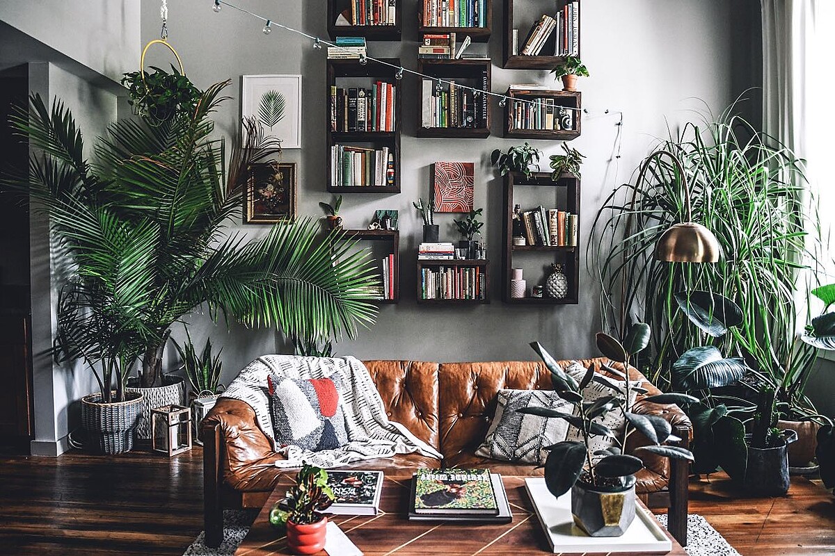 被滿滿的植物包圍著的住家客廳空間。