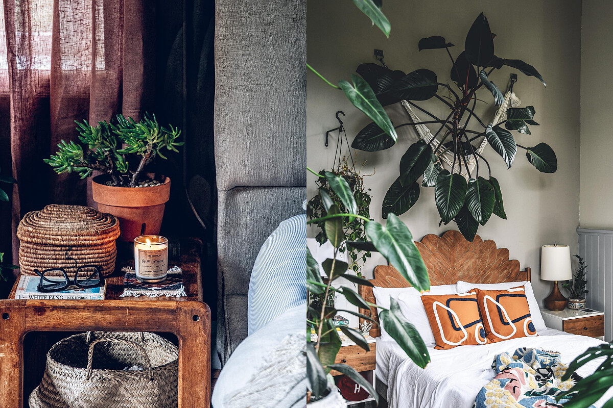 房間也不忘用植物妝點。