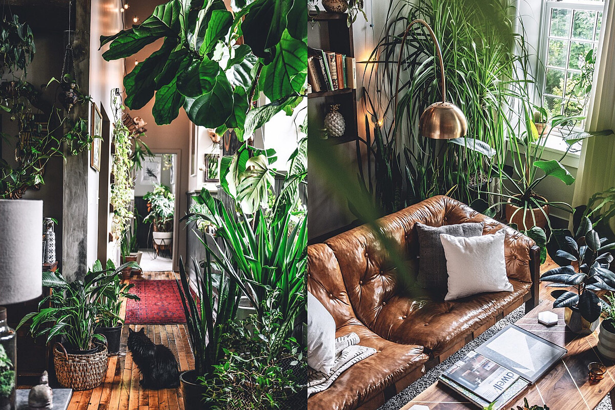 被滿滿的植物包圍著的住家。