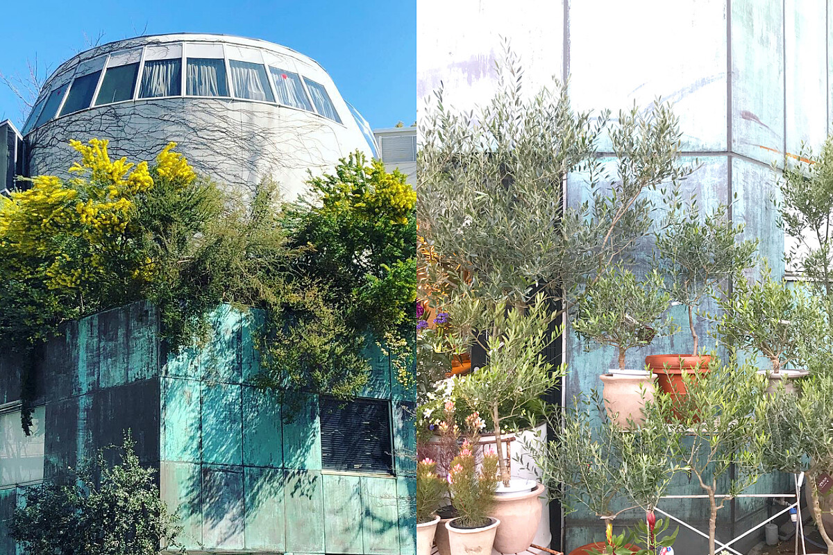 東京店的外觀很特別。