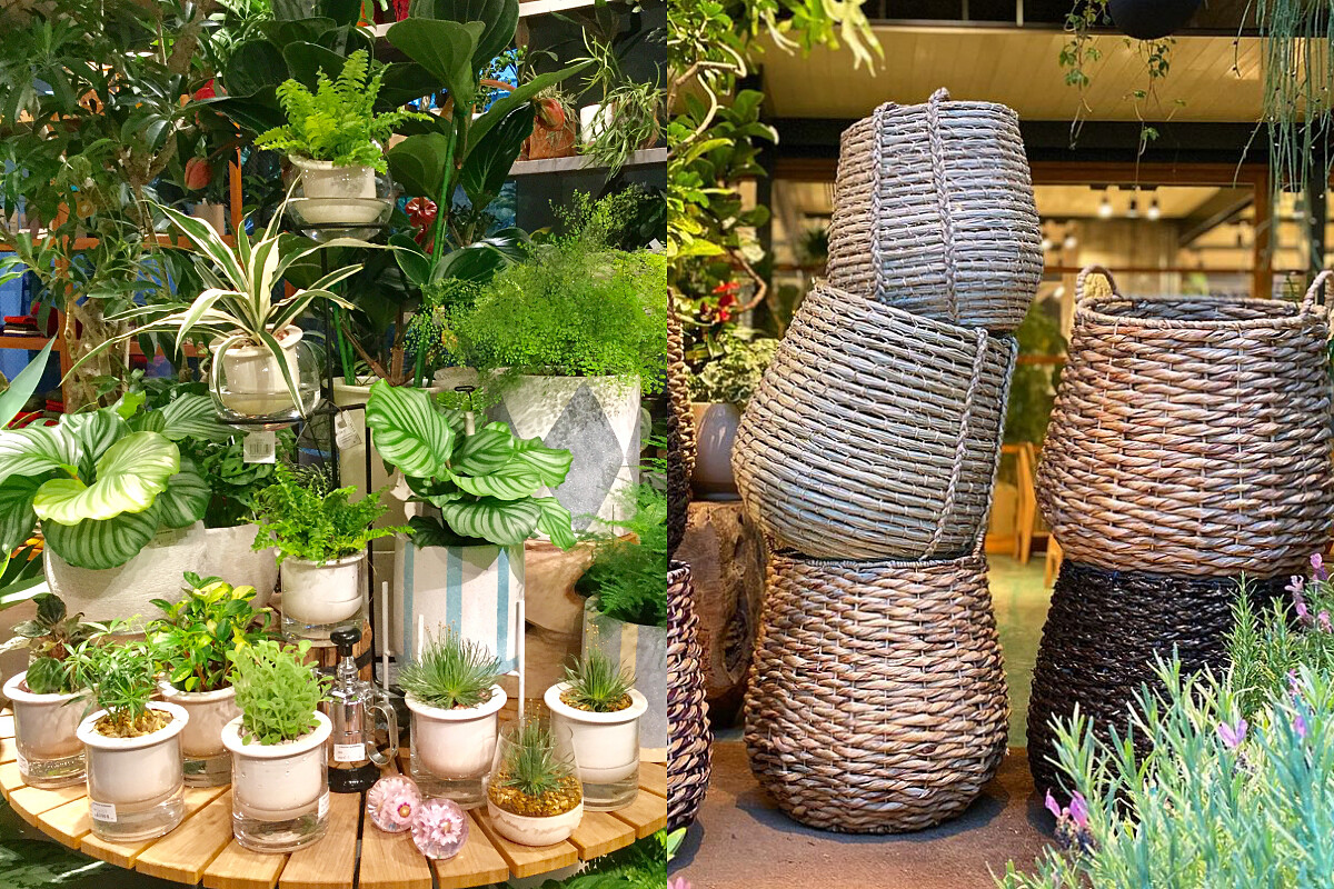 有許多園藝相關工具及道具。