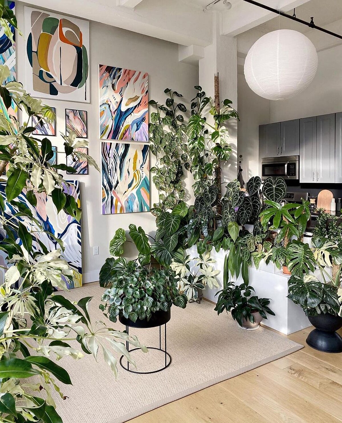 綠意盎然的室內空間。