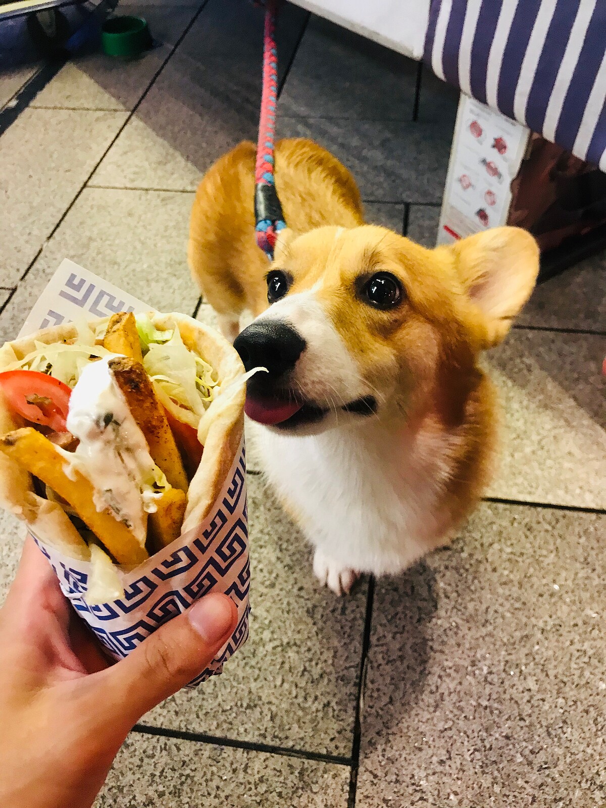 ▲圖／方俞 & 君毅提供