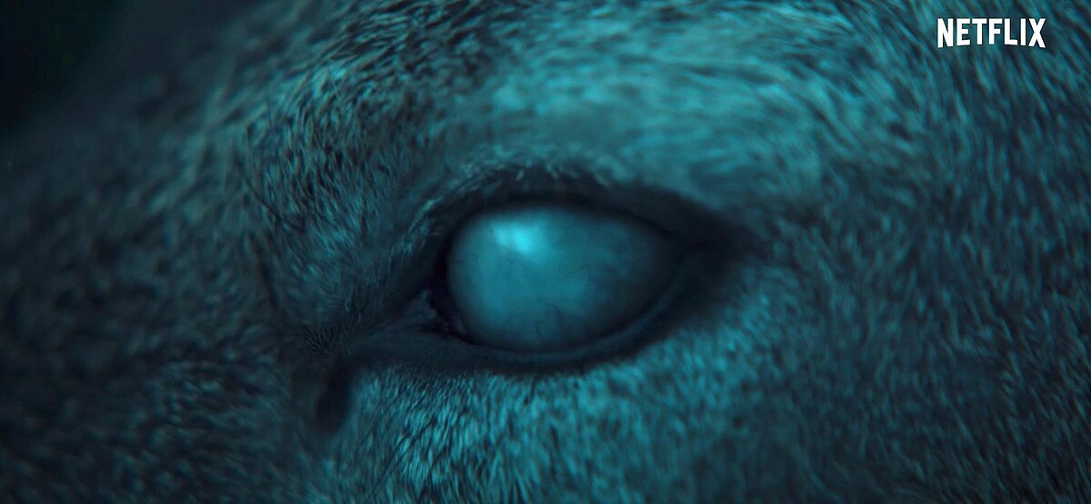 全智賢 《屍戰朝鮮:雅信傳》正面終於亮相!90秒動魄驚心動魄喪屍再襲