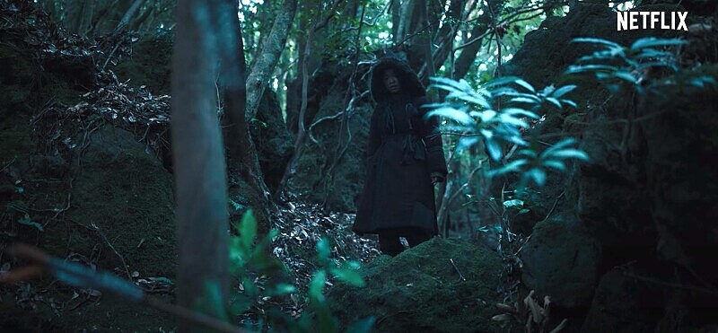 全智賢《屍戰朝鮮：雅信傳》回到「生死草」與它的產地！