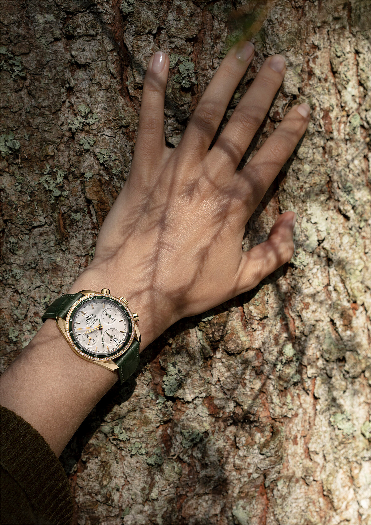 歐米茄Omega超霸Speed master系列計時功能手錶，錶徑尺寸38毫米，同軸擒縱天文台機械機芯，售價$647,000