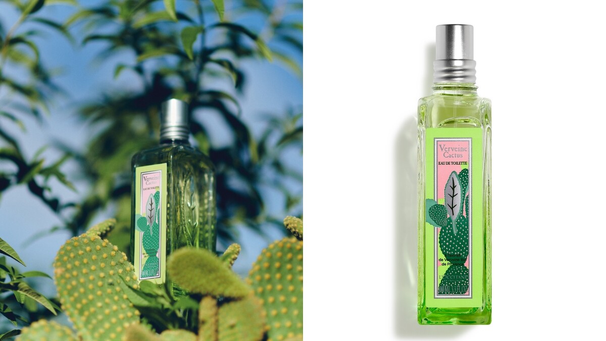 L&rsquo;OCCITANE歐舒丹2021仙人掌馬鞭草限量系列淡香水