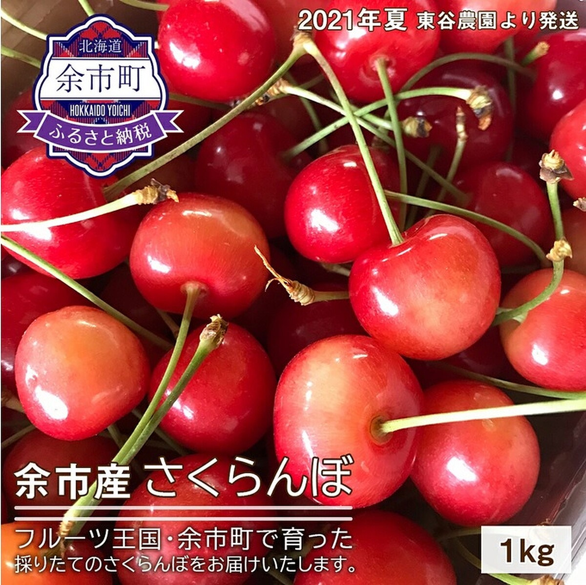 ▲北海道余市的回禮是足足1公斤重的超高級櫻桃。（圖／翻攝自樂天市場 Japan 官網）