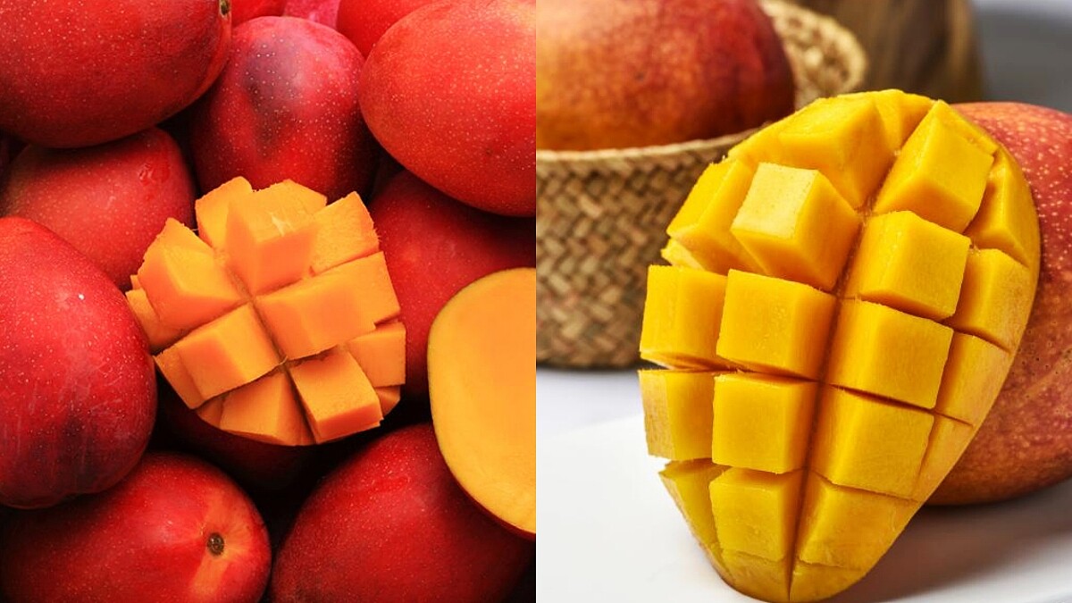 挺屏東枋山愛文芒果！KKday開賣外銷日本等級鮮果禮盒，本島宅配免運、低溫送到家，正確保存方法一併附上