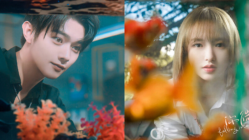 你微笑時很美 許凱 程瀟