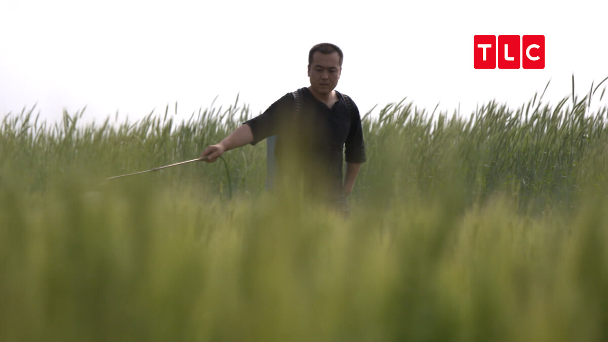 陳子育堅持不打農藥、不用化肥，用環保肥料強化土質，以最自然的方式對待土地。