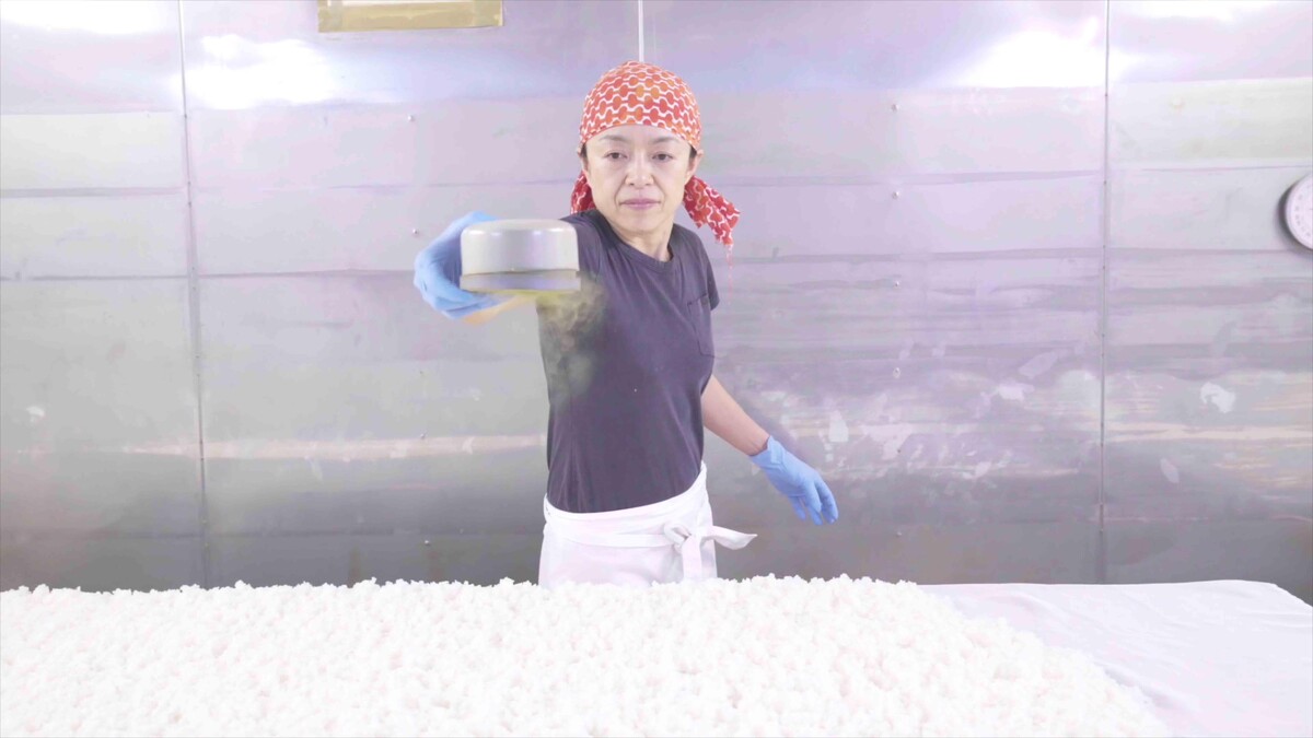 「今田酒造本店」的杜氏今田美穗。