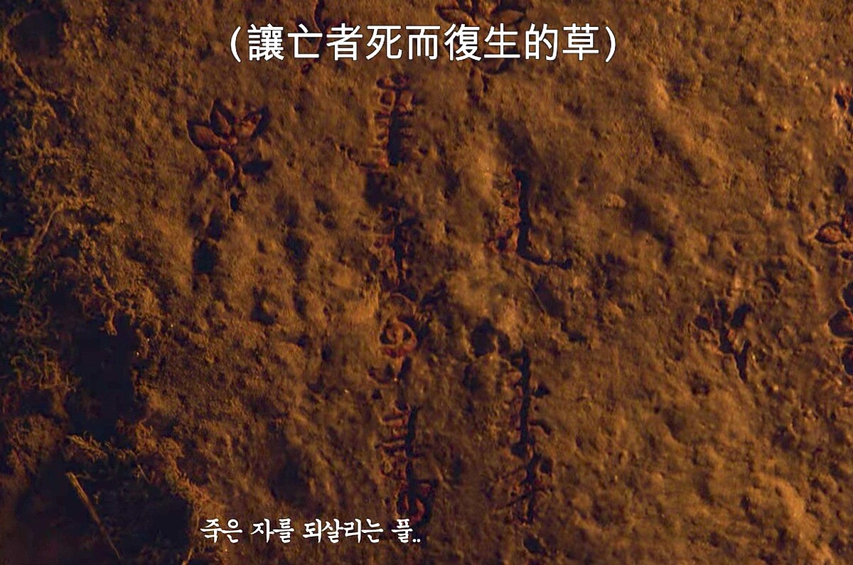 「國師堂」壁畫寫出了「生死草」警語＆使用方法