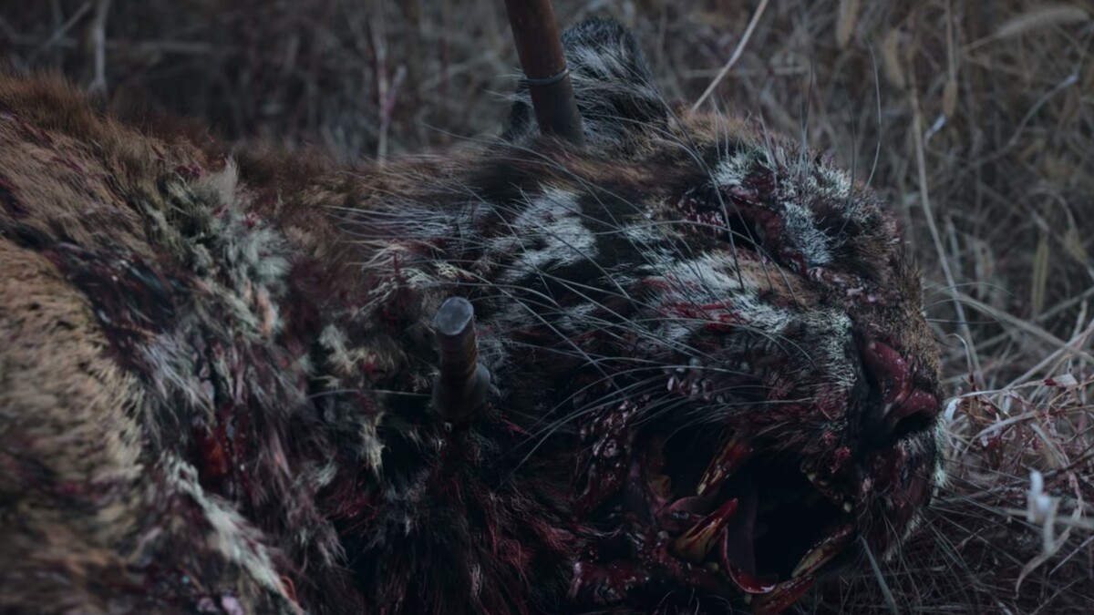 《屍戰朝鮮：雅信傳》屍變「老虎」也藏有深意