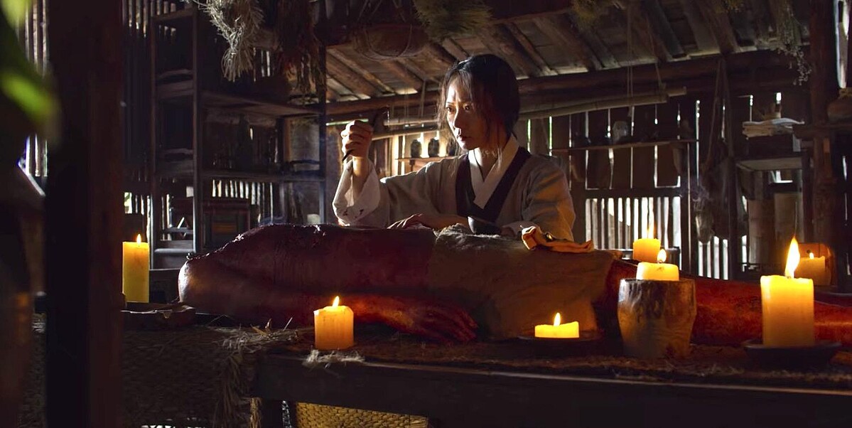 《雅信傳》＆《屍戰朝鮮》「生死草」屍變＆傳播方式不同？