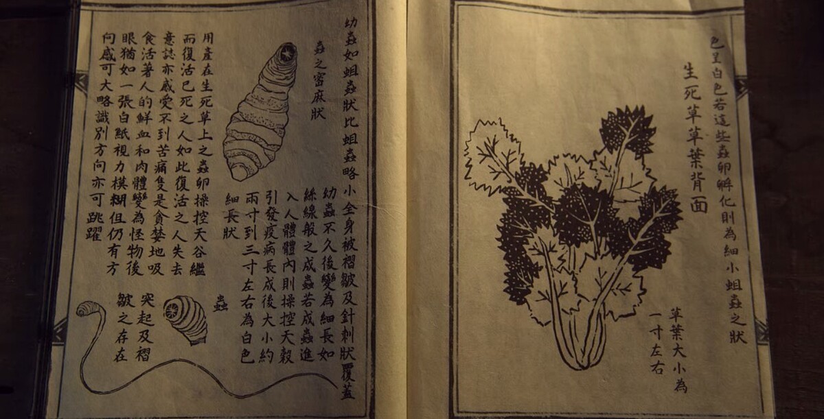 《雅信傳》＆《屍戰朝鮮》「生死草」屍變＆傳播方式不同