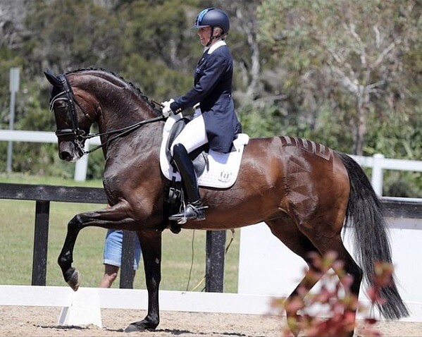 ▲瑪莉‧漢娜決心參加2024巴黎奧運。（圖 / 翻攝自maryhannadressage IG）