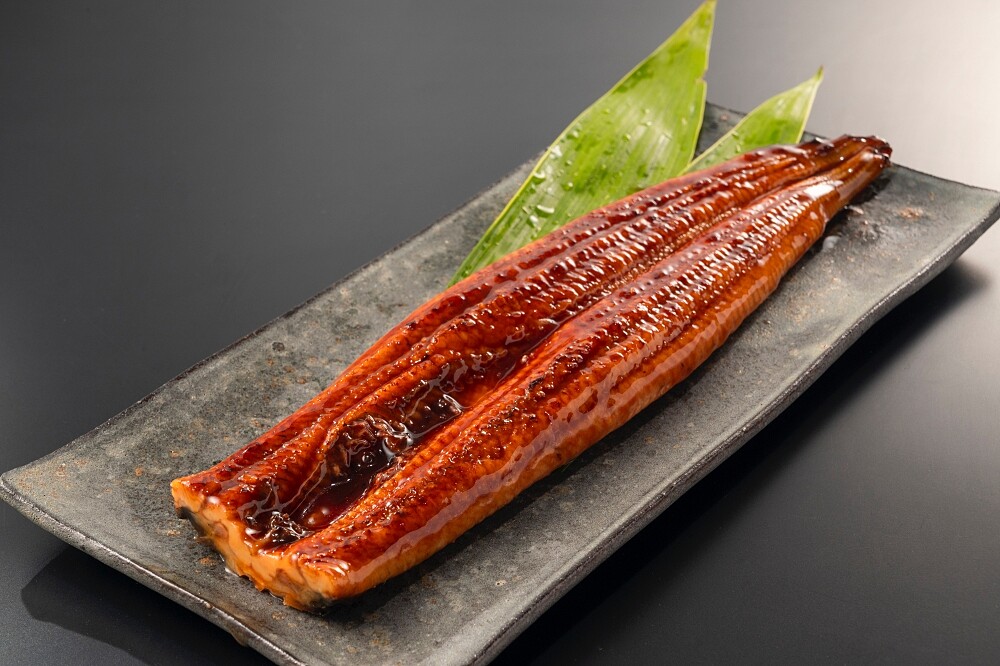 照片來自免費圖庫イラストAC