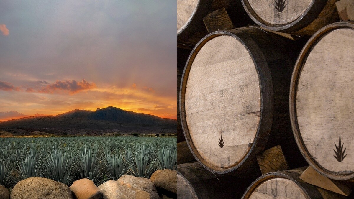 Clase Azul墨西哥頂級龍舌蘭酒