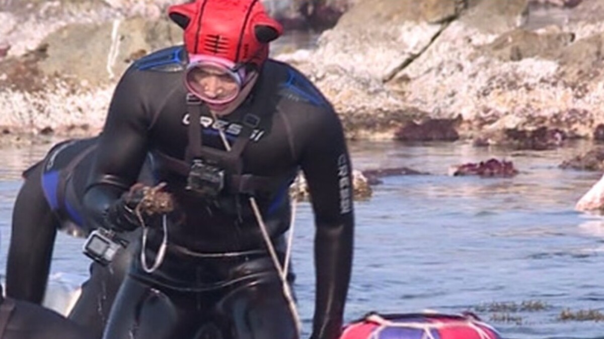  金宣虎 《海村岸恰恰恰》「洪班長」的熱血海洋子 Look 有毒