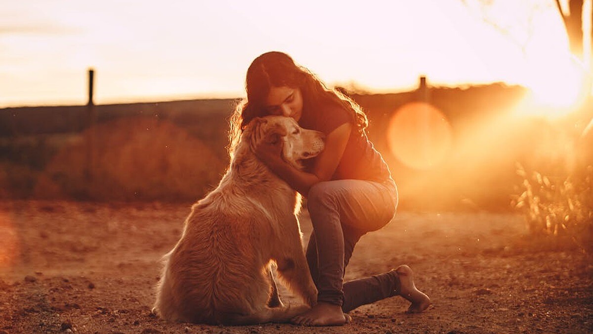 過於懶惰，忘了追尋人生目標，3個步驟消除內在噪音，找到人生的渴望