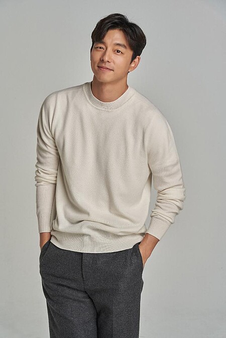 孔劉 獎項認證不足