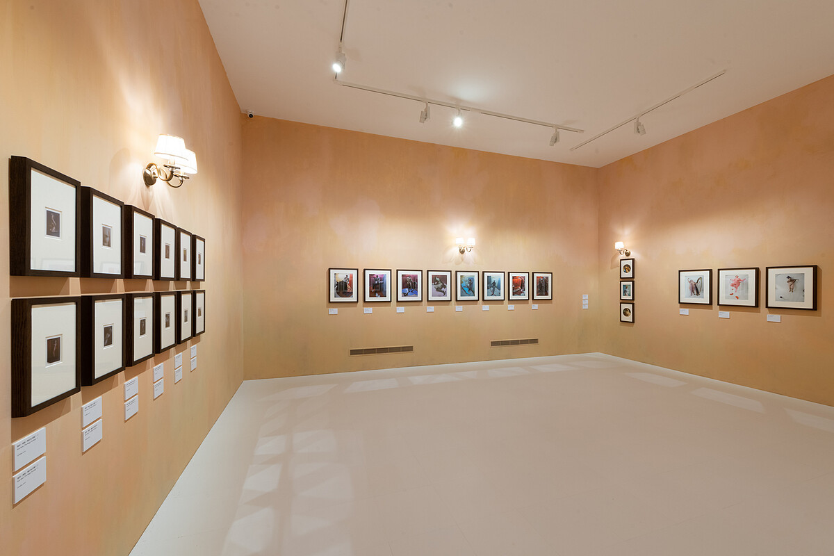 Tim Walker特展-第一展區-職涯作品回顧-祼體殿堂