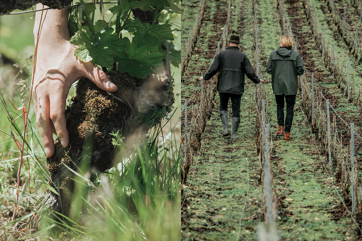 天夢香檳酒莊以大地之母為名，在「In Nomine Terrae」中展現對於環保的追求。