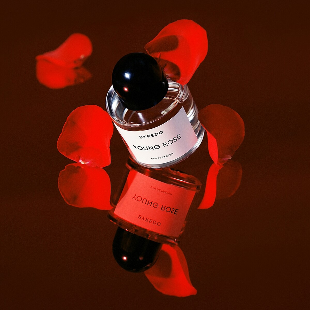 BYREDO 2021全新香水「Young Rose初生玫瑰淡香精」產品情境圖(credit &copy; Leslie Zhang)