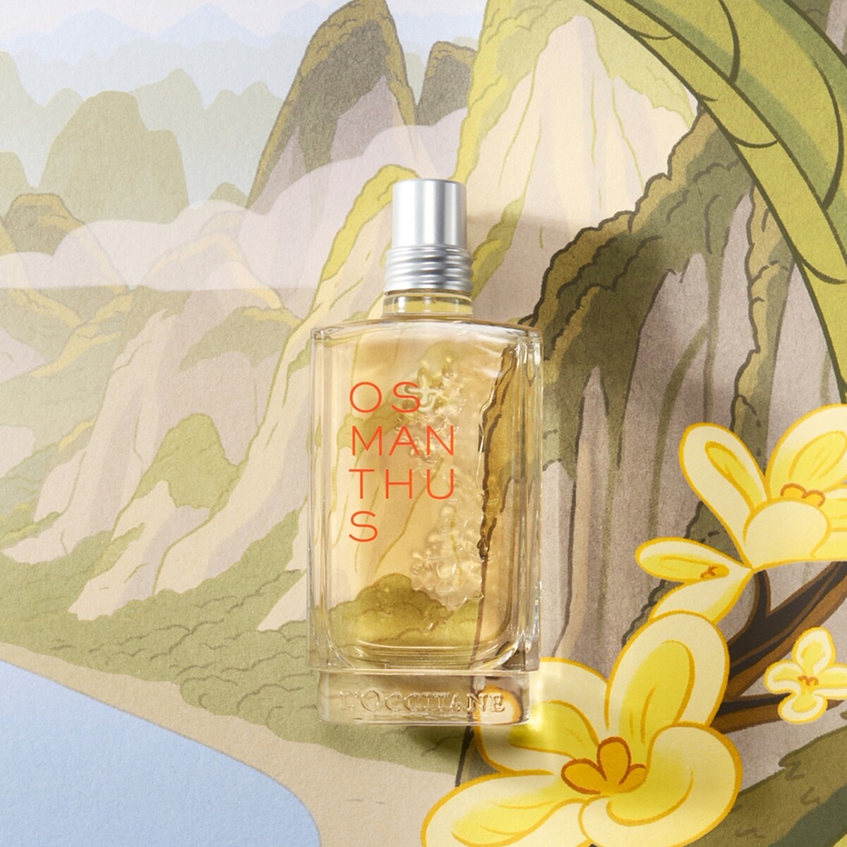 L'OCCITANE歐舒丹桂花淡香水30ml，NT1,200(限量)、75ml，NT2,100