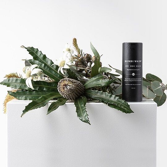 BONDI WASH白千層＆檸檬草狗狗乾洗粉100g，NT480