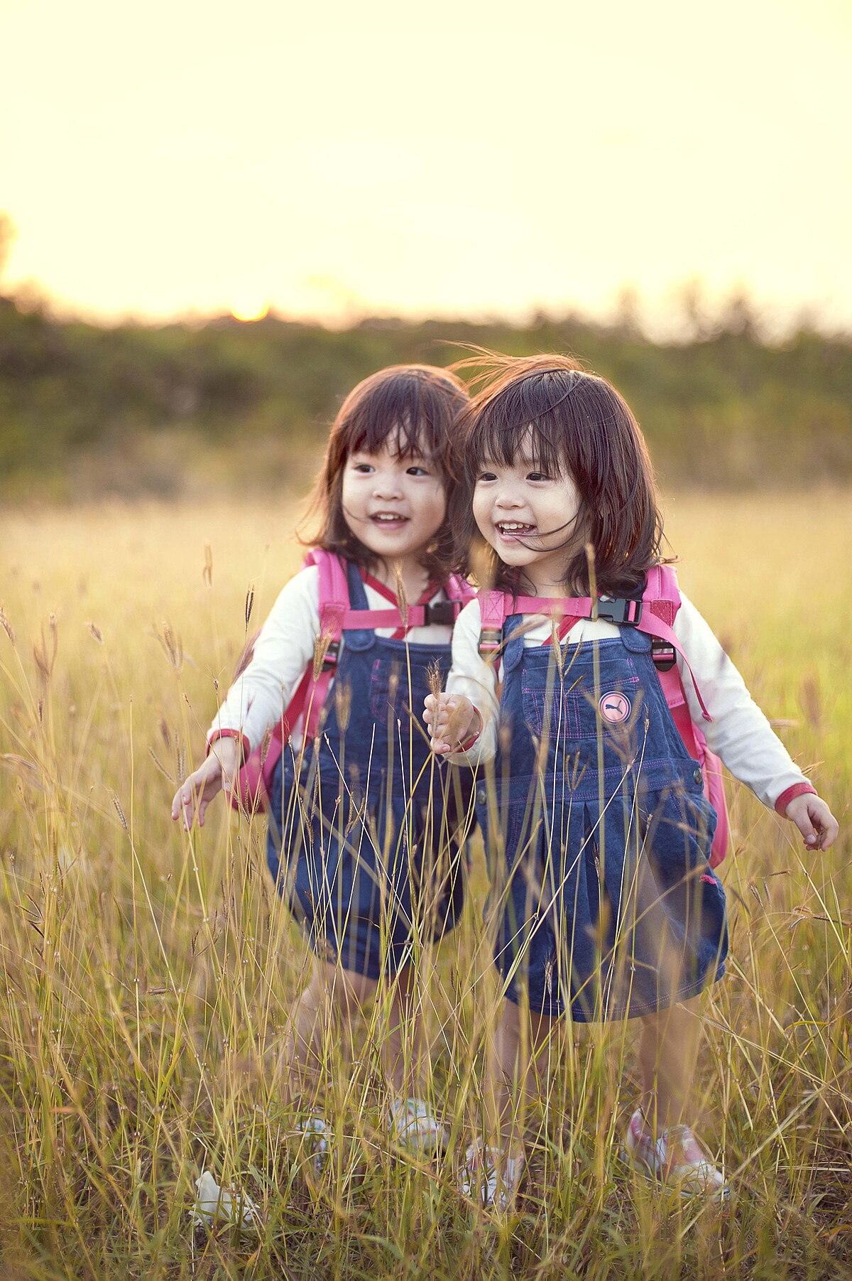 ▲蘋果和西打。（圖／阿曼達）