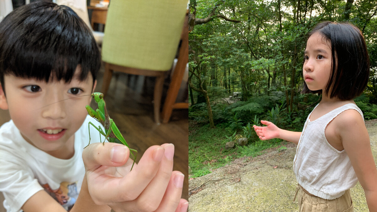 ▲小豬與小羊。（圖／大羊）