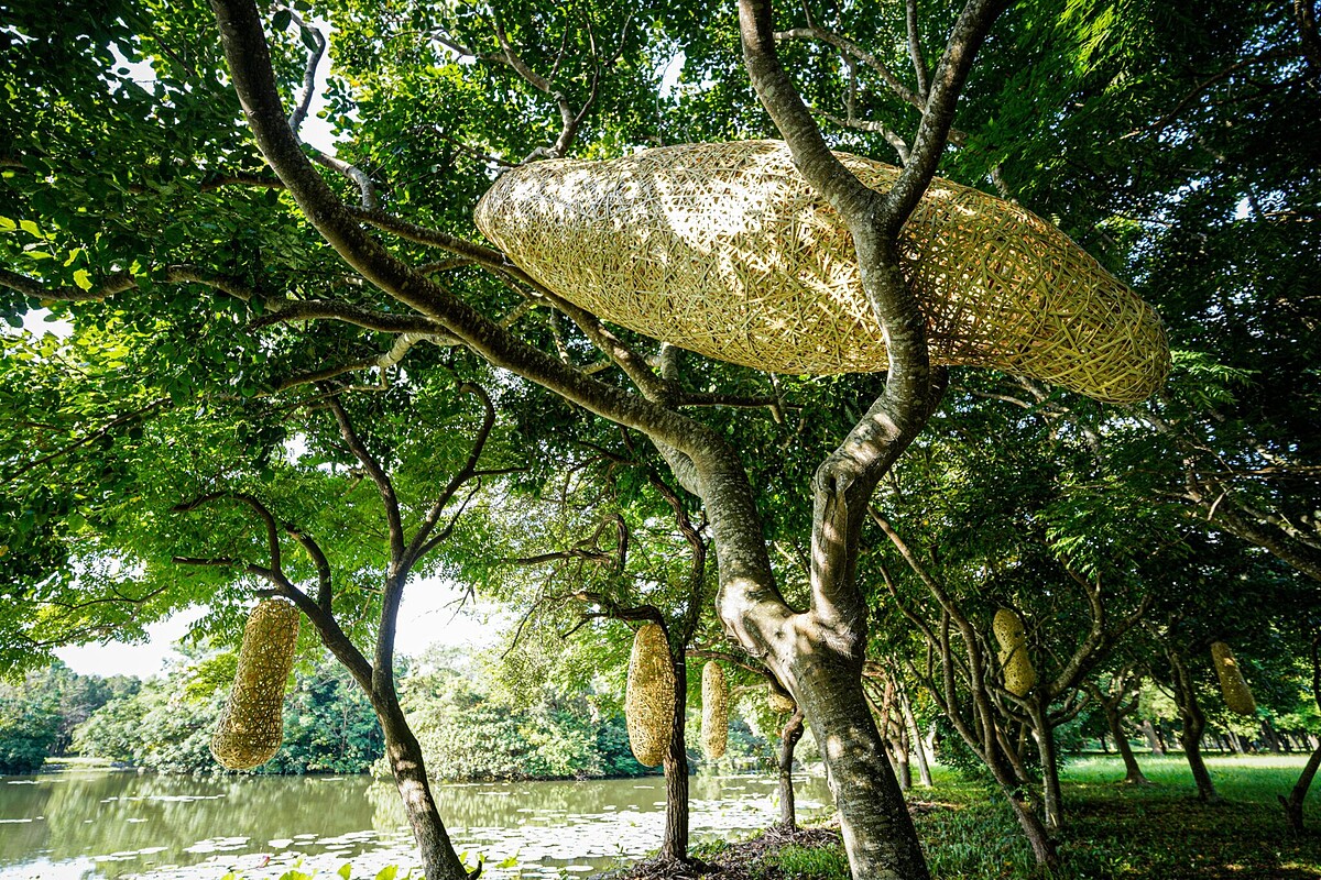 縱谷大地藝術季-漂鳥197 徐暋盛作品 《蛻變前的等待》