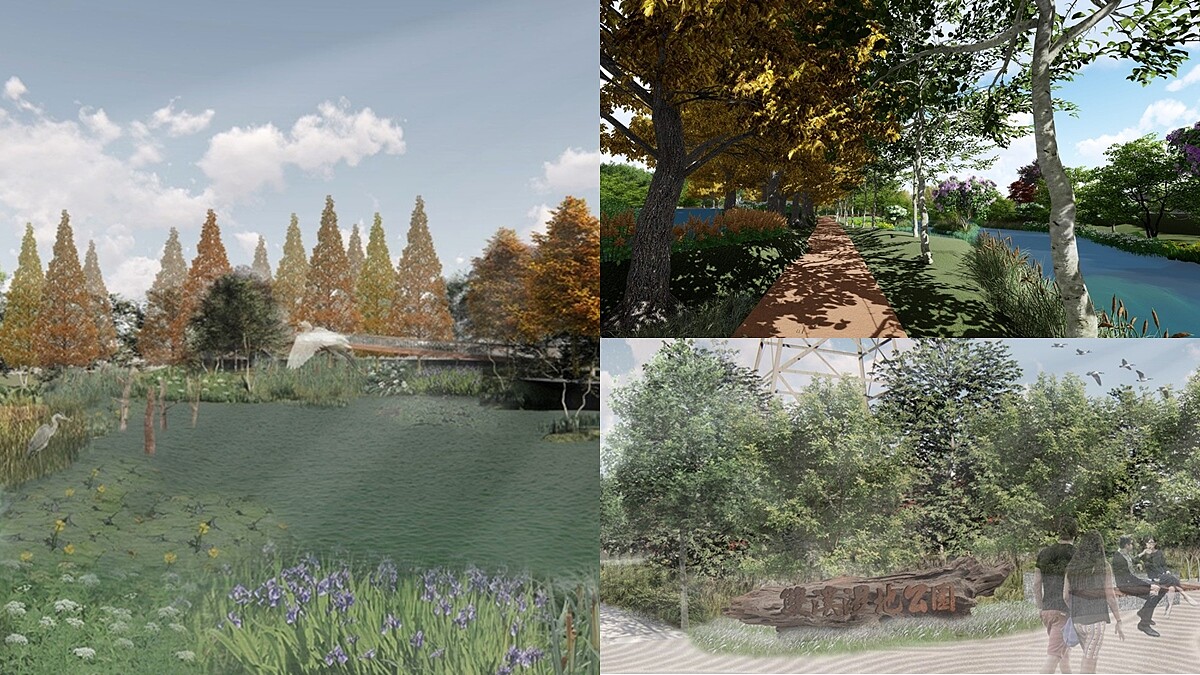 士林將迎來夢幻落羽松廊道！占地2.2公頃「雙溪濕地公園」開放時間曝光