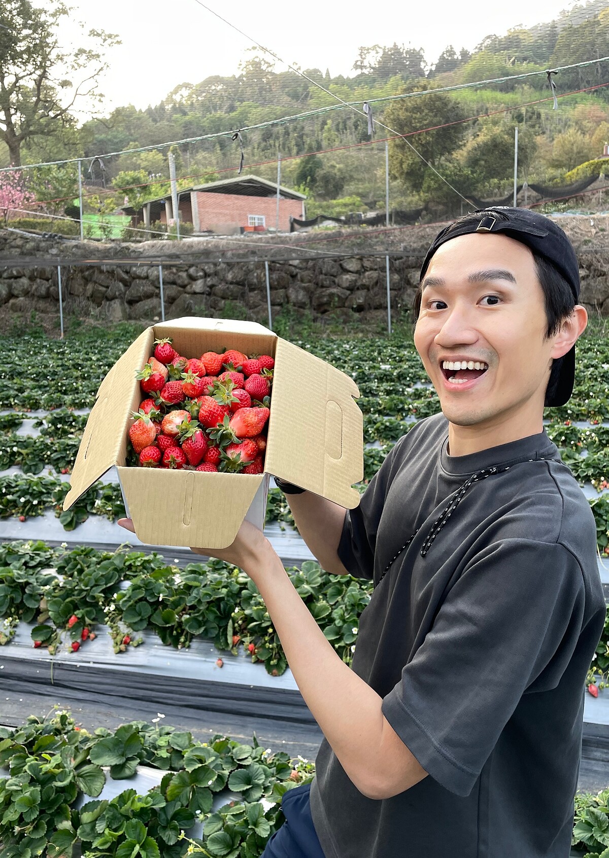 國際知名插畫家 Cherng