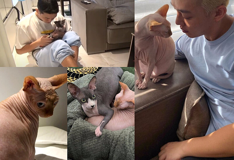 劉亞仁與他的主子們 (左上 我獨自生活畫面截圖自KKTV)