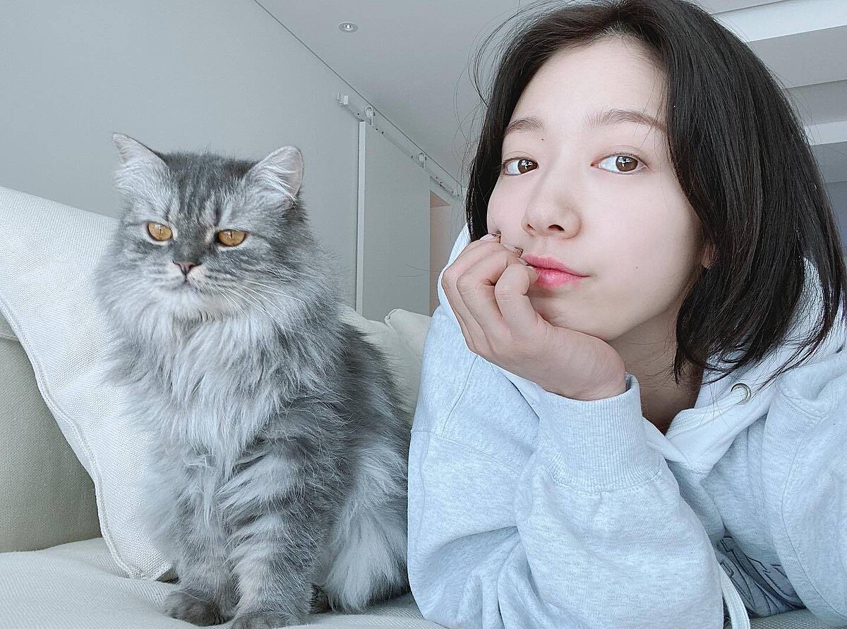 朴信惠與愛貓