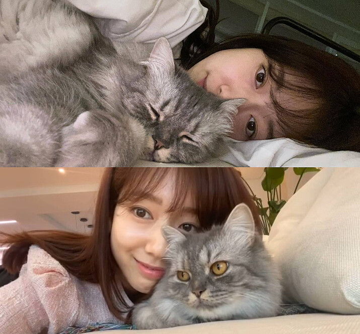 朴信惠常與貓咪一起入鏡