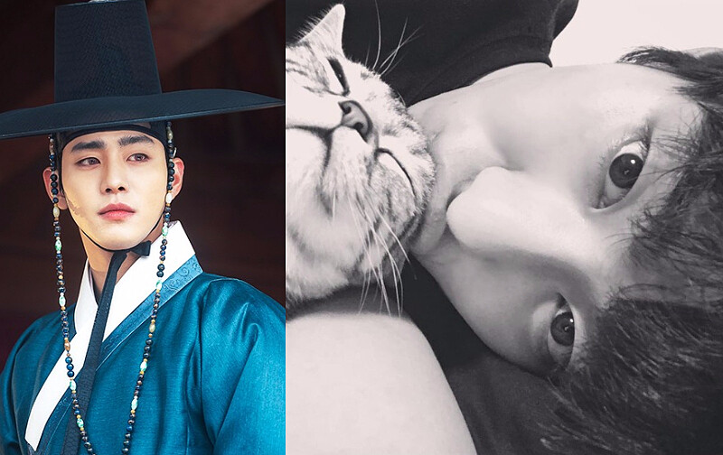 紅天機(SBS)男主角安孝燮 是寵貓宅男