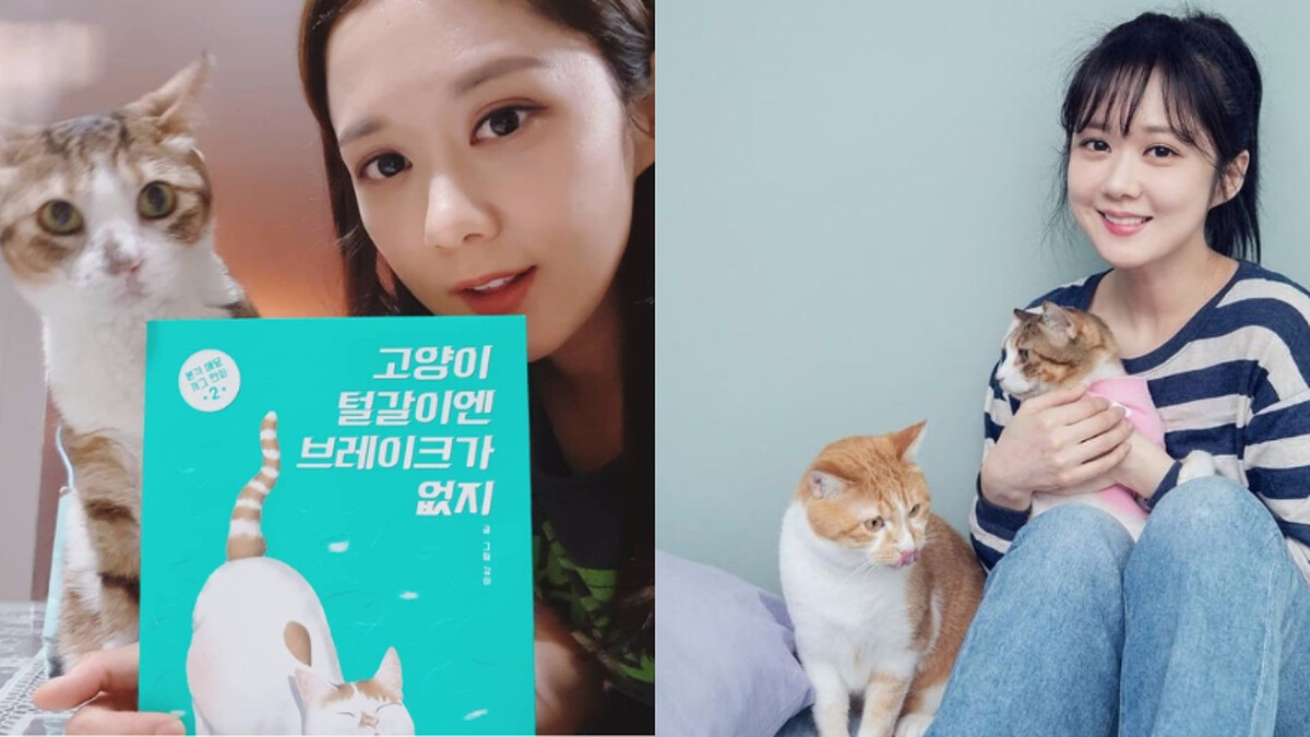 張娜拉是動物保護所義工