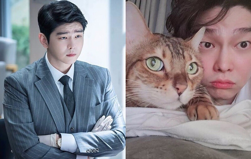 尹鈞相是有名的貓奴 左圖:先熱情的打掃吧( Jtbc)