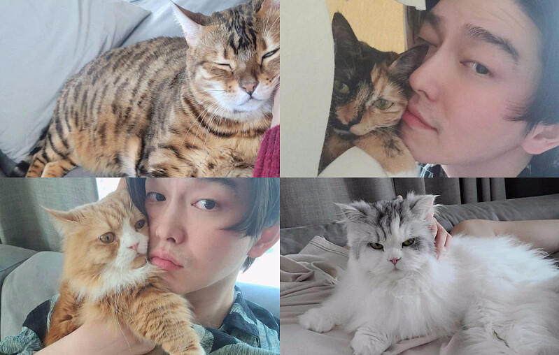 尹鈞相有四隻貓咪