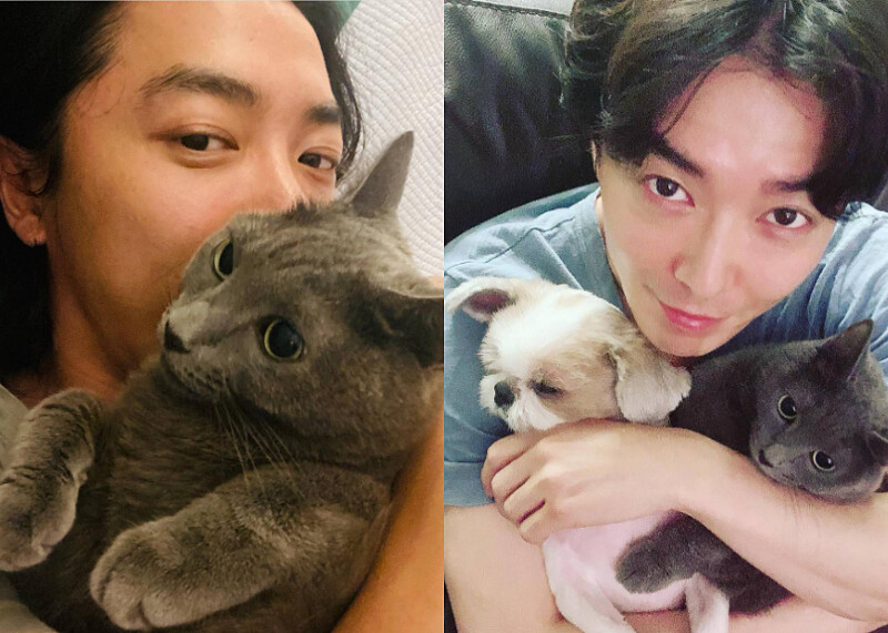 好久不見得金材昱 與他的一貓一狗