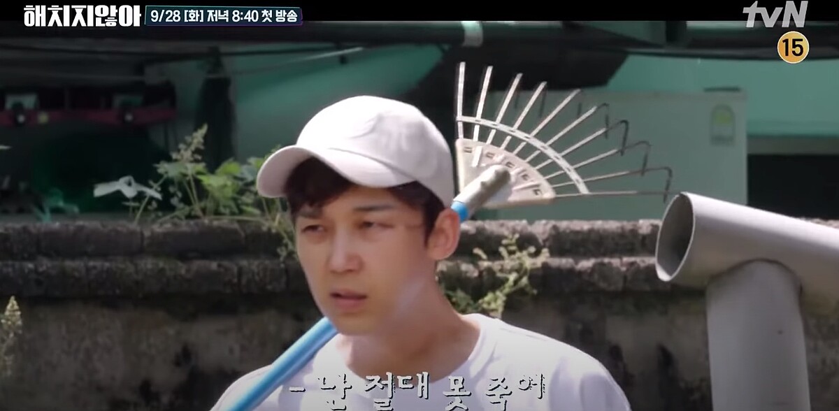 《上流戰爭》3大「國民垃圾」綜藝《不會傷害你》