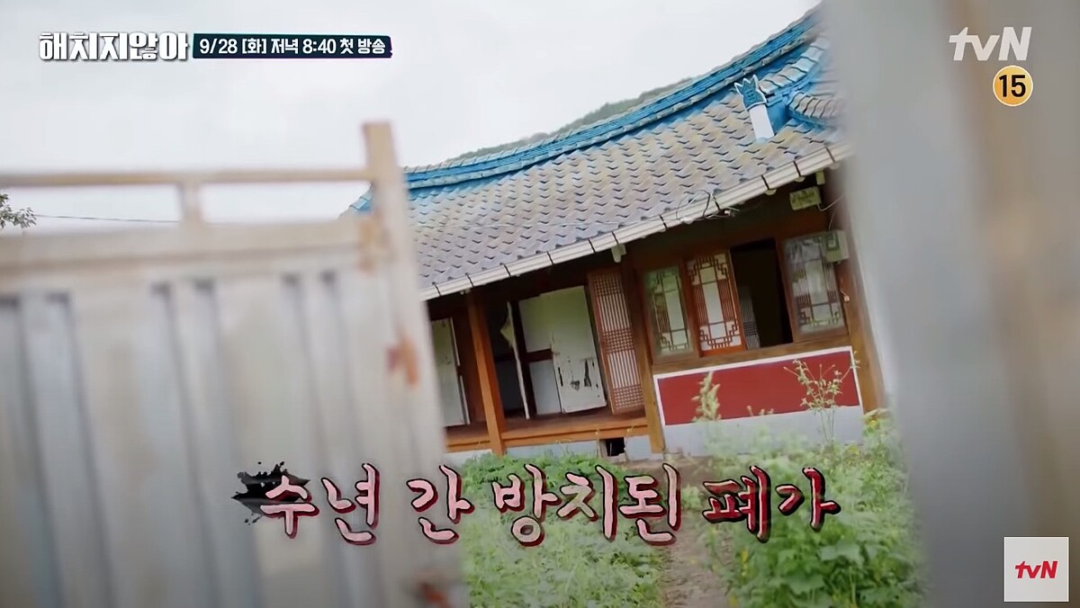 《上流戰爭》3大「國民垃圾」綜藝《不會傷害你》