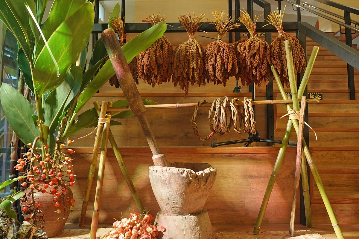 以各種部落傳統植物布置紅藜宴現場，再綴以布農族傳統的木臼、藤編器皿，營造豐收的氛圍。