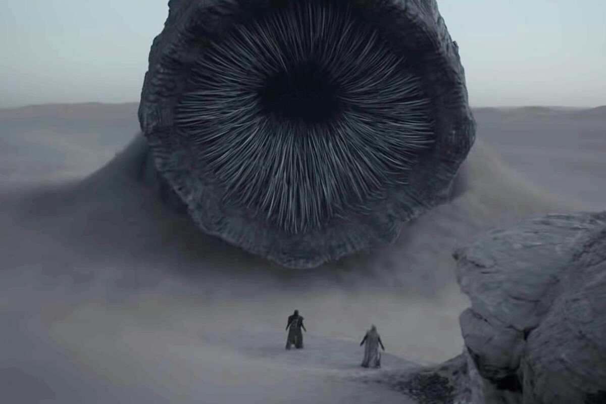 《沙丘》好萊塢美少年的救世主養成史！