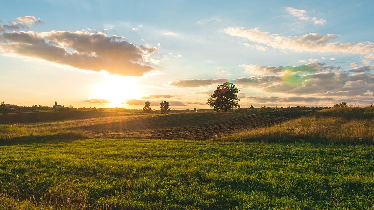 農遊券價值600元！如何登記領券、購買品項、使用地點及時間等QA都在這